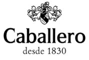 logo grupo caballero